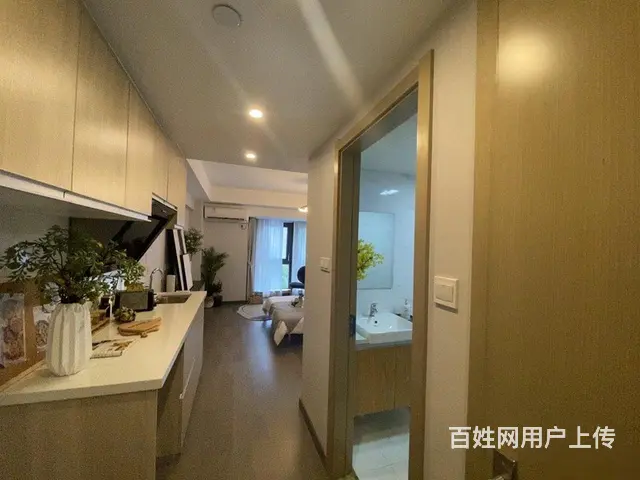 活动价未来科技芯，4.79米双钥匙双户，阿里全球总 - 图片 7