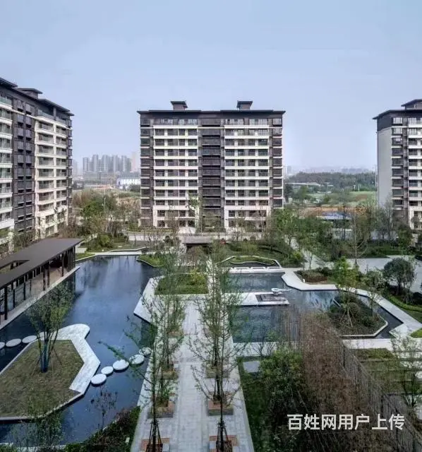 怡心湖精装修套四，现房，所见即所得，国企保证 - 图片 3