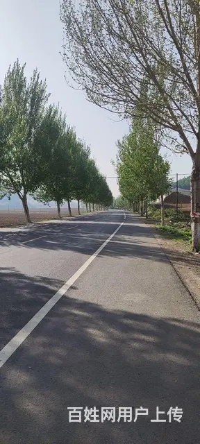 诚心找个伴侣六十以内都可以 - 图片