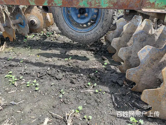 轻型，种耙 - 图片 2