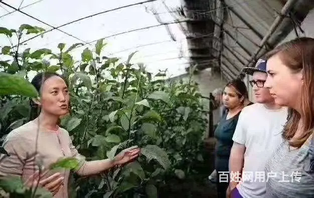 澳大利亚出国劳务 特殊渠道 保出签率高 雇主直招 - 图片 3