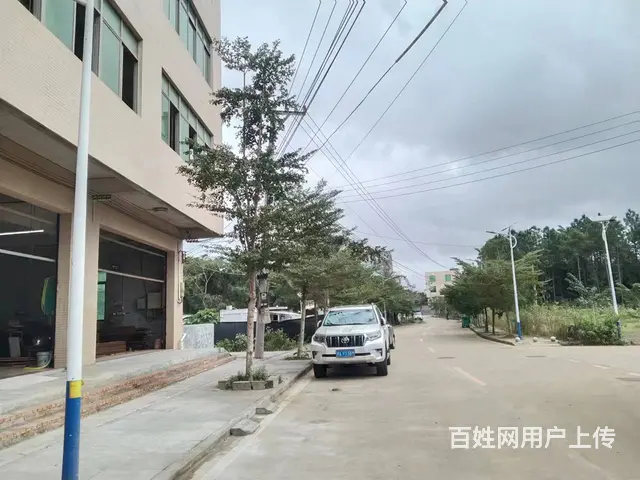 （51旺铺推荐）海口市龙华区3700平仓库招租 - 图片 6