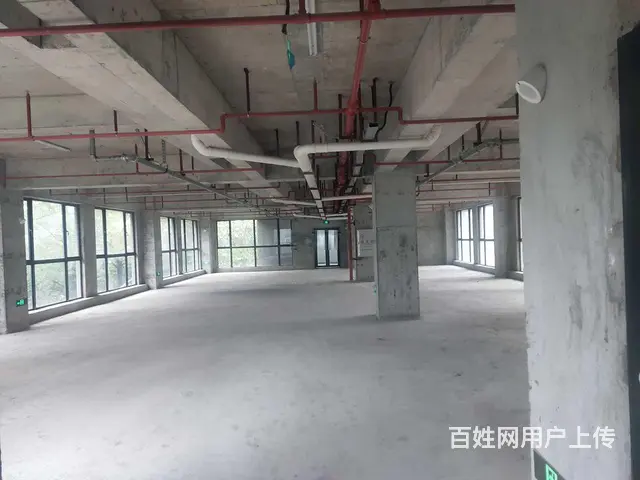 高新区核心！独门独院！两栋厂房，壹栋宿舍！配套齐全！ - 图片 5