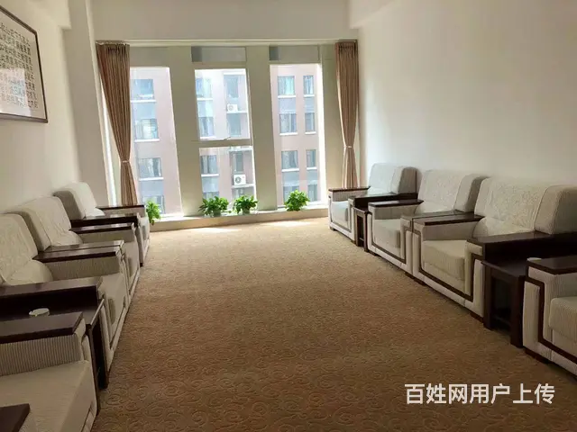 山东化工工程设计院 - 图片 4
