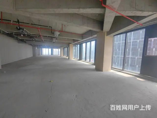 金融集聚区大龙湖旁380平纯办公一手现房 - 图片 8