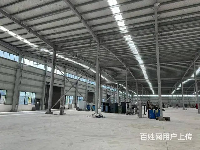 （城市在线找房免费）金山桥金港路附近标准钢结构厂房出租 - 图片 4