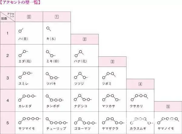金华外语培训班|日学零基础入门学什么 - 图片