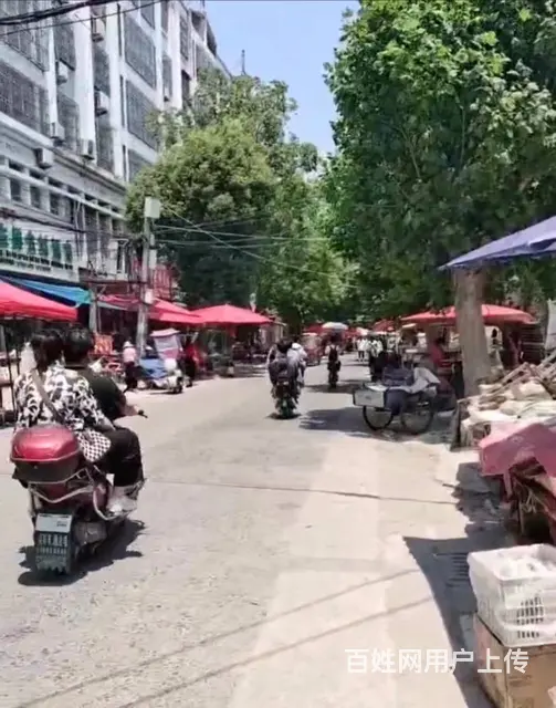 光山县正大街200平店铺转让 - 图片 2