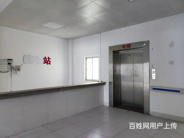 【独栋楼房出租】遂溪孔圣山对面 2000平 - 图片 4