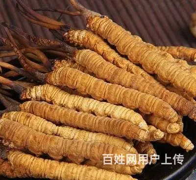 回收礼品老酒洋酒名酒冬虫夏草阿胶茅台五粮液 - 图片 9