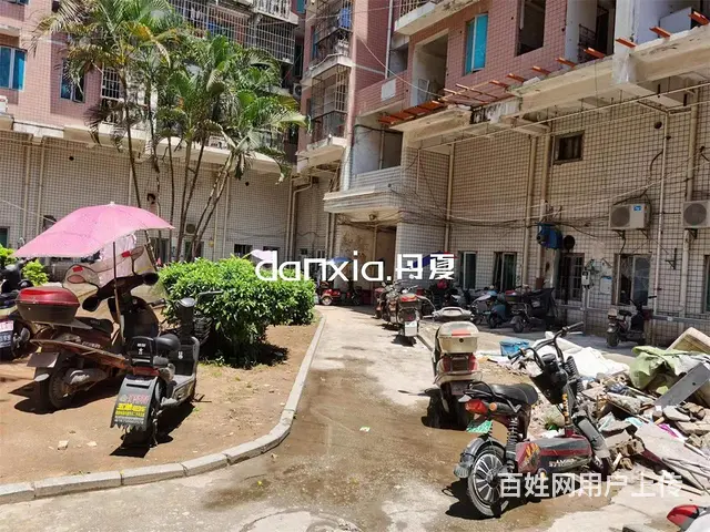 龙池生活区 西子公寓 单间 朝南 边套 配套全 拎包住 - 图片 6