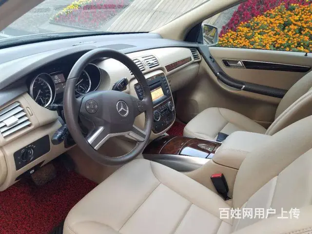 奔驰R-Class [R级] 2011款 R 30 - 图片 10