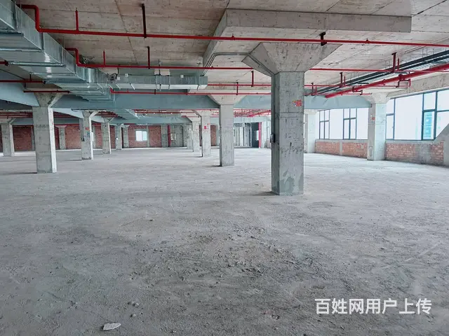 （老板本人）状农国际集团大型食品加工厂厂房仓库出租，可出售 - 图片 9