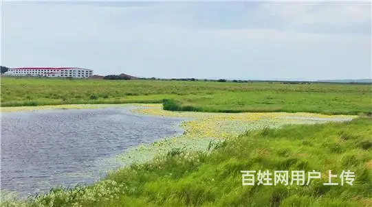 呼伦贝尔鄂伦春呼伦贝尔包车电话呼伦贝尔现在包车什么价格呼伦贝 - 图片 1