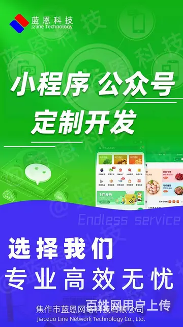 焦作蓝恩网络,网站建设,开发,**推广 - 图片 4