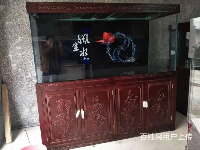 【鱼乐天下】清洗鱼缸，专业鱼缸养护，上门服务 - 图片 3