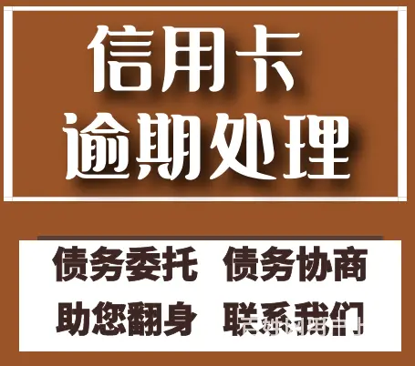 徐州*大地网贷逾期协商分期债务优化 - 图片 1