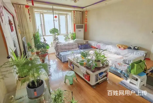 天百商圈，新农世纪城，精装两室，明厨明卫！低总价。 - 图片 3