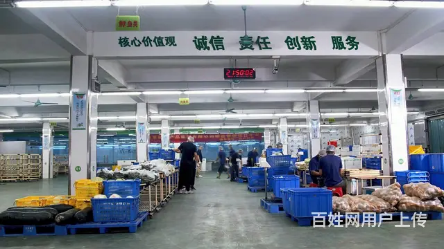 广州食堂蔬菜供应公司，冷链配送，准时送达 - 图片 2