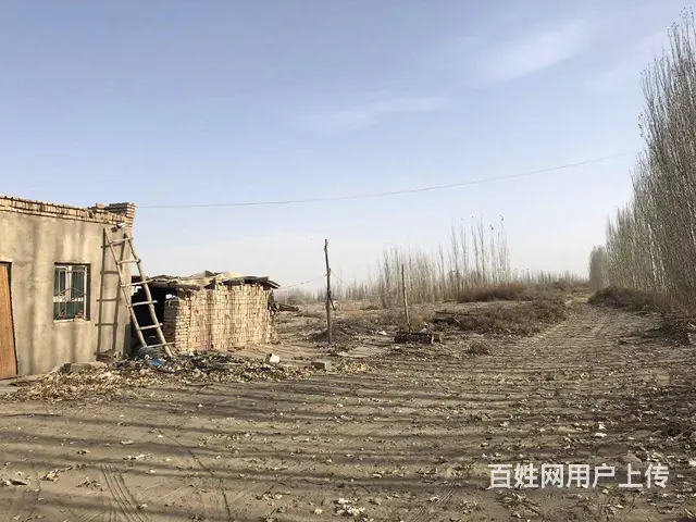 B个人一库尔楚土地对外出售或承包 - 图片 9