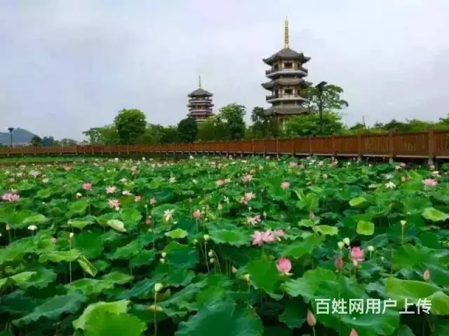 五彩田园景区房房东直租 - 图片 5