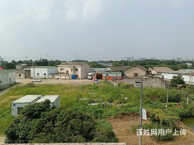 4亩场地出租 - 图片 6