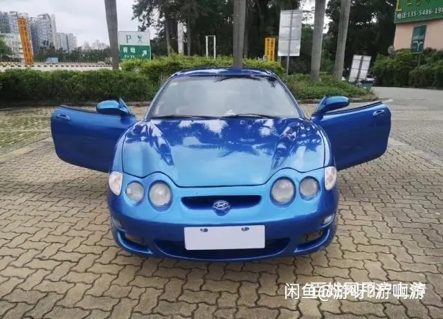 专业汽车背户 - 图片 1