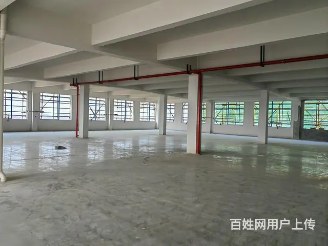 安吉县梅溪大道全新厂房出售 多种面积 - 图片 3