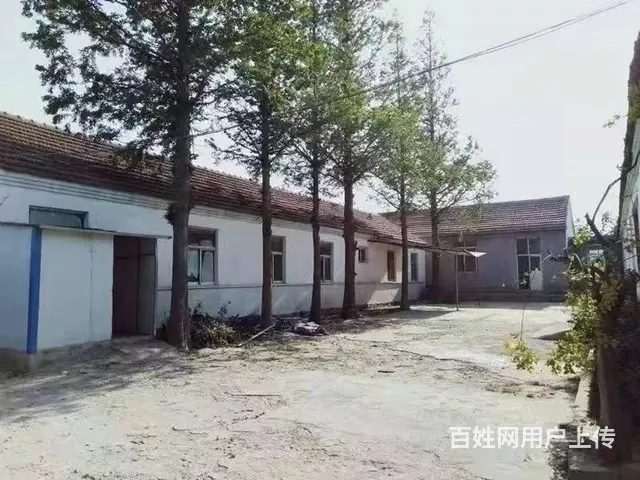 【创美】张村前双岛纯一层150平厂房出租 - 图片 1