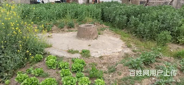 找有缘女士 - 图片
