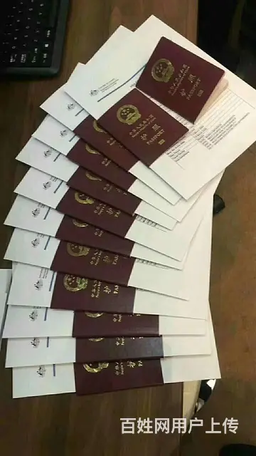 年薪50万（出国劳务）陪读保姆/厨师/司机技工普工 - 图片 3