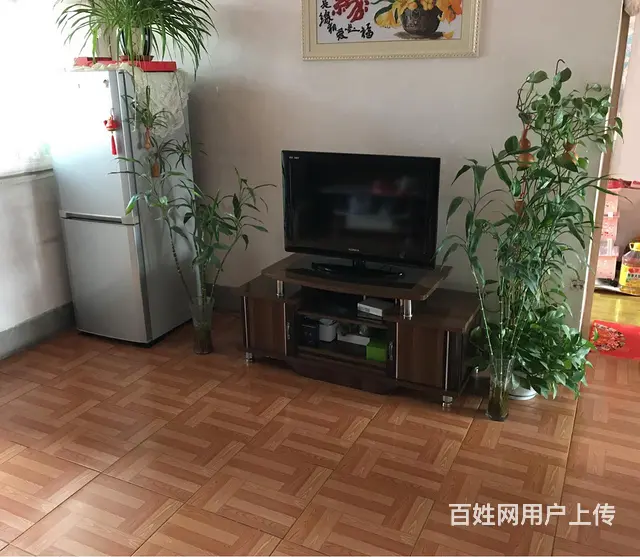 低价急售，物有所值 - 图片
