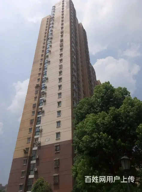 汉街 中南医院4号线青鱼嘴中北路德成中心湖北省博物 - 图片 10