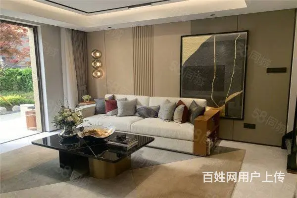 国企开发 碧桂园物业 高端人士品质住宅 叠拼别墅洞藏天地 - 图片 7