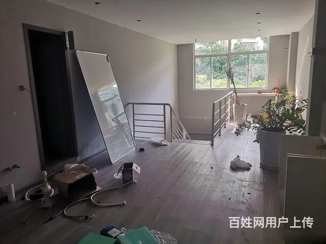 （51旺铺推荐）金贸西路185平旺铺出租 - 图片 3