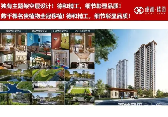 碧桂园珑悦台华地禧元旁德和禧园现房三房四房 - 图片 3