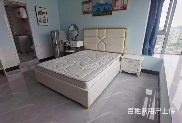 北干,恒隆广场附近，新白马公寓,朝南主卧内独立厨卫，精装无介 - 图片 2