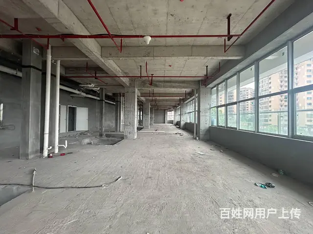 （老板本人）湘域国际广场临街商业综合体招租6842 - 图片 9