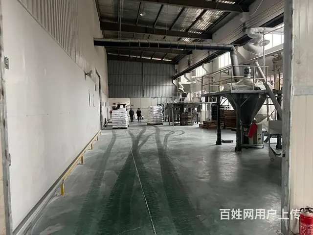 嘉善独门独院单层厂房3660平方出租 - 图片 5