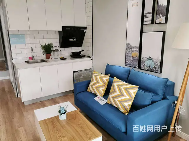 宁滁轻轨口总价低 通燃气星荟城跳高4.8米复试公寓月供一千多 - 图片 9