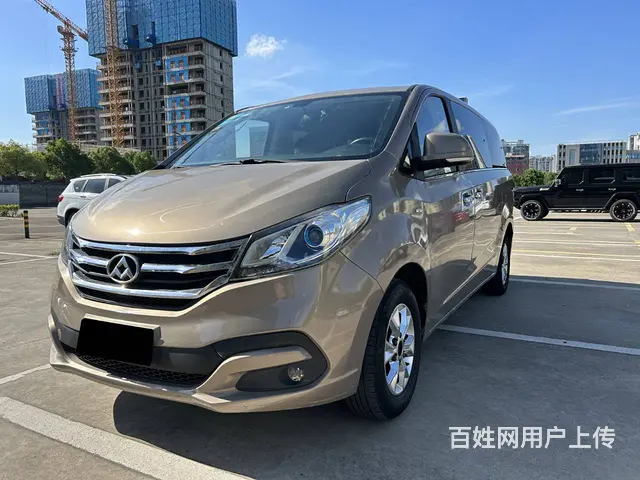 大通G10 2015款 2.0TGI 手动 纪念版 - 图片 2