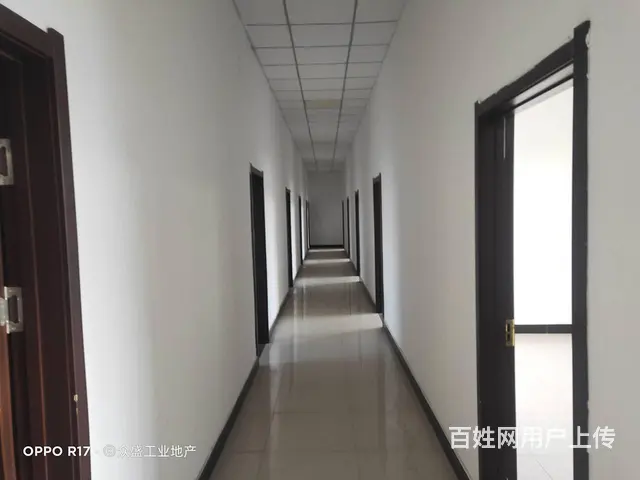 新民5000平厂房出租 - 图片 6