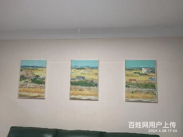 专业电工 电路疑难问题处理 灯具 电视挂架钻眼安装 - 图片 12