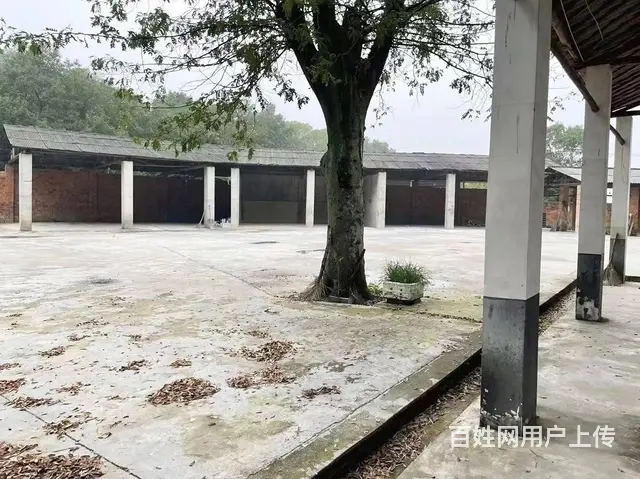 （老板本人）望城区独门独院厂房/仓库房东直租6758 - 图片 4