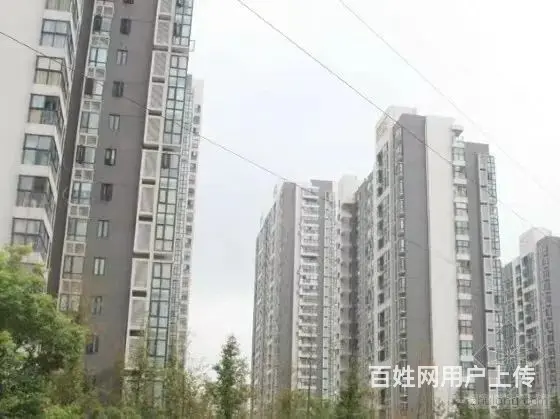 彩虹城(天宁) 普通住宅 精装修 - 图片 2