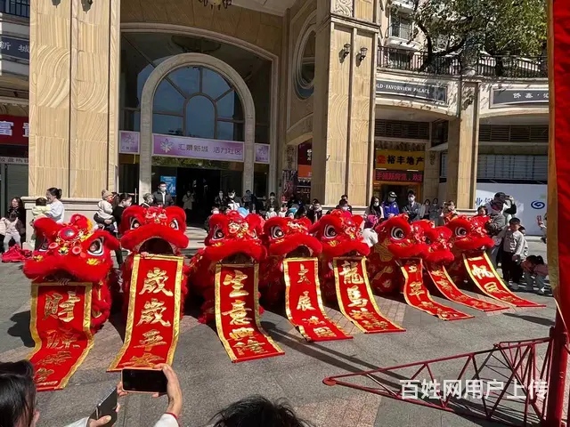 长沙专业承接舞狮演出开业庆典舞龙表演 - 图片 11