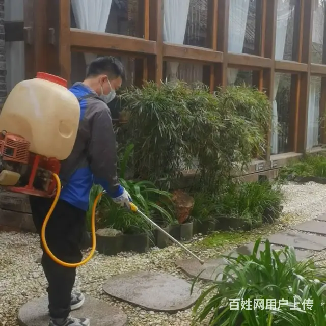 马小虫，除虫师傅找订单平台 - 图片 4