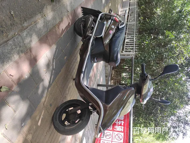 6O伏大踏板车出售或出租 - 图片