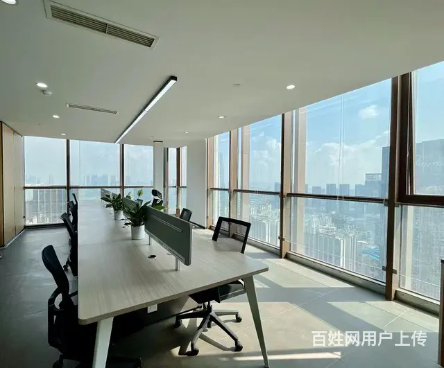 东方希望天祥广场地铁世纪城站天府二街跃层出租 - 图片 3