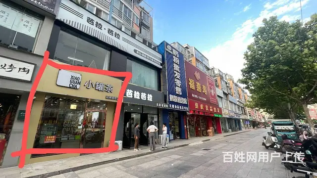 芙蓉路门面商铺出租 - 图片